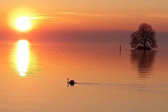 Villeneuve, coucher de soleil