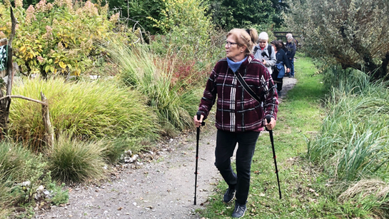 Les participants avencent et s'émerveille des beautés de la nature