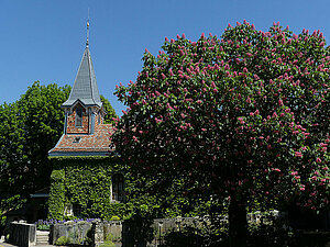 Le clocher du temple de Duillier et le lilas voisin